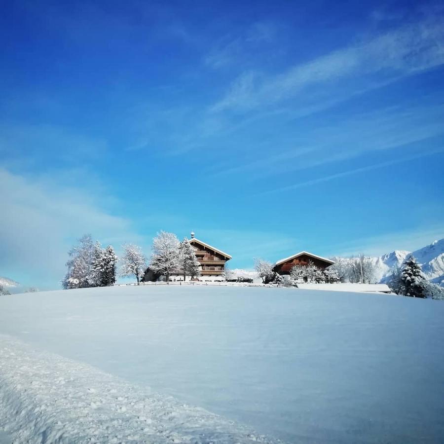 Vorderkasbichlhof Villa Saalfelden ภายนอก รูปภาพ